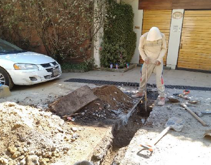 Captura de pantalla 2025-07-26 143453